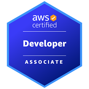 AWS Developer - Associate